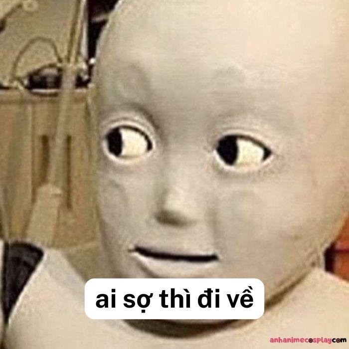 hình meme ai sợ thì đi về bựa